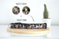 Photos Collection | Pet Collar