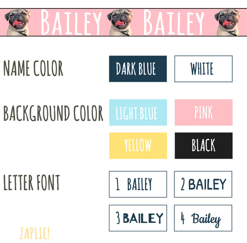 Portrait Collection + FREE Digital Portait | Pet Collar