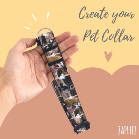 Create your Pet Collar
