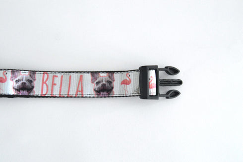 Flamingo Collection | Pet Collar