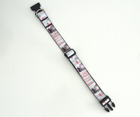 Flamingo Collection | Pet Collar