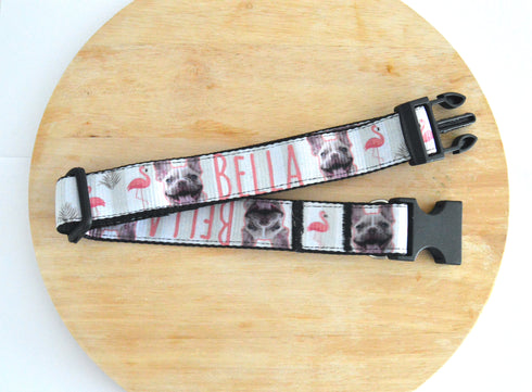 Flamingo Collection | Pet Collar
