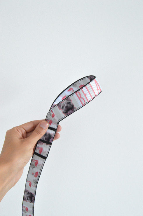 Flamingo Collection | Pet Leash