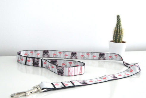 Flamingo Collection | Pet Collar