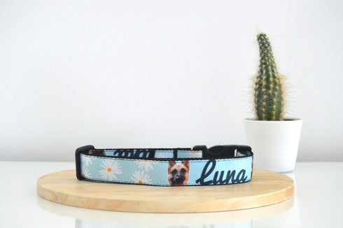 Flower Collection | Pet Collar