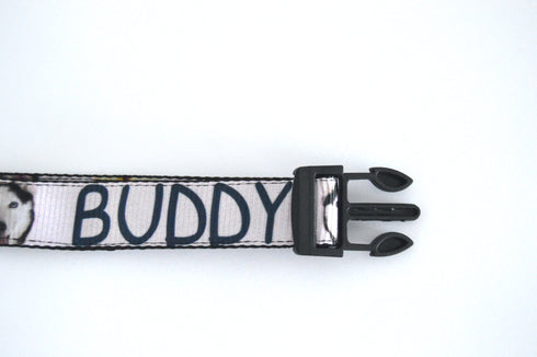 Donuts Collection | Pet Collar