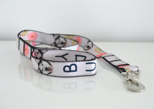 Donuts Collection | Pet Leash