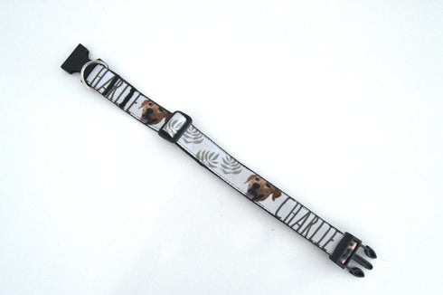 Nature Collection | Pet Collar