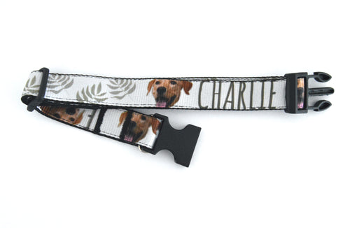 Nature Collection | Pet Collar