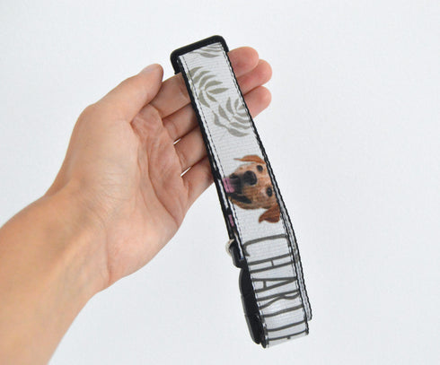 Nature Collection | Pet Collar