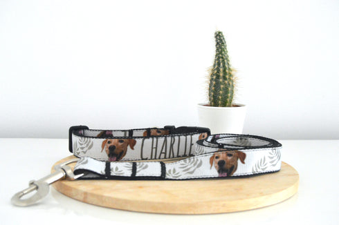 Nature Collection | Pet Collar