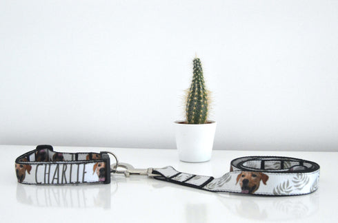 Nature Collection | Pet Collar