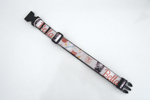 Boho Collection | Pet Collar