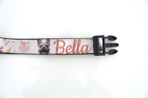 Boho Collection | Pet Collar