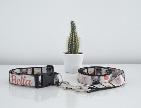 Boho Collection | Pet Collar
