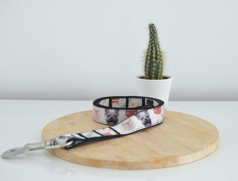 Boho Collection | Pet Leash