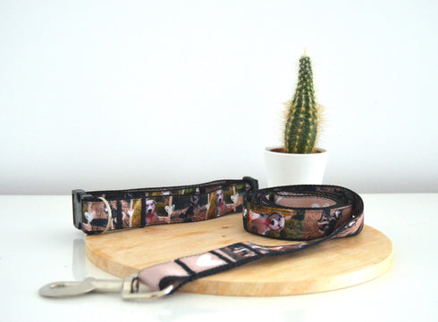 Photos Collection | Pet Leash