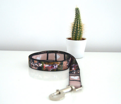 Photos Collection | Pet Leash