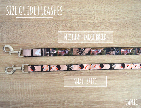 Photos Collection | Pet Leash