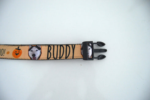 Halloween Collection | Pet Collar