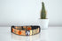 Halloween Collection | Pet Collar