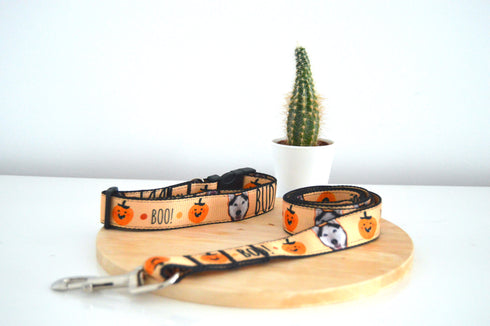 Halloween Collection | Pet Leash