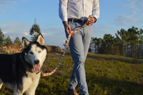 Halloween Collection | Pet Leash