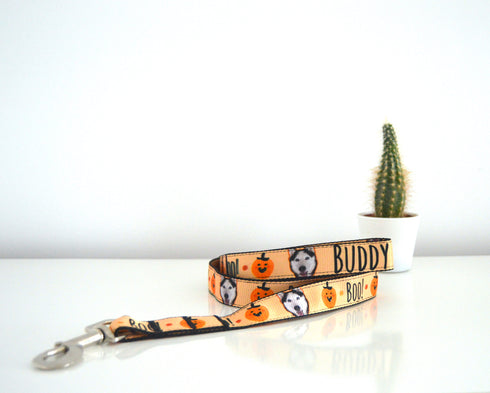 Halloween Collection | Pet Leash