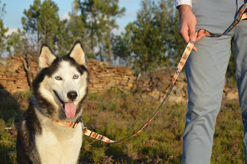 Halloween Collection | Pet Leash