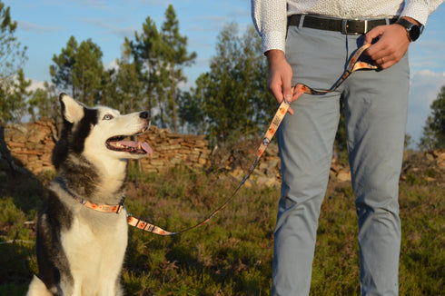 Nature Collection | Pet Leash