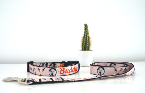 Christmas Collection | Pet Collar
