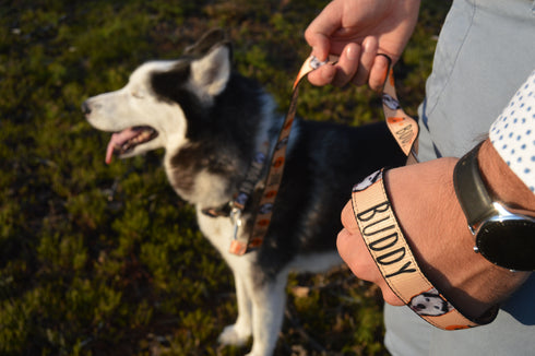 Rainbow Collection | Pet Leash