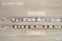 Christmas Collection | Pet Leash