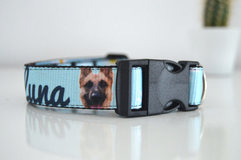Flower Collection | Pet Collar