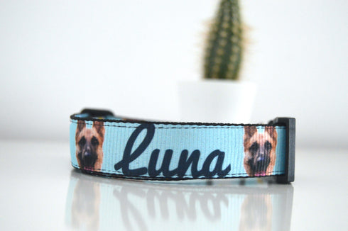 Flower Collection | Pet Collar