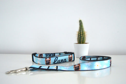 Flower Collection | Pet Collar