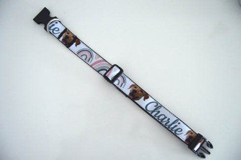 Rainbow Collection | Pet Collar