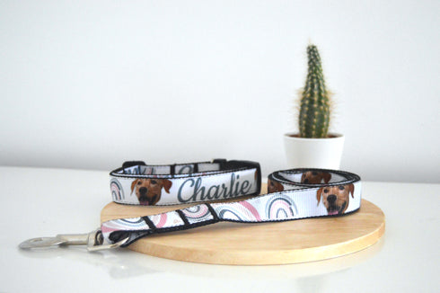 Rainbow Collection | Pet Collar