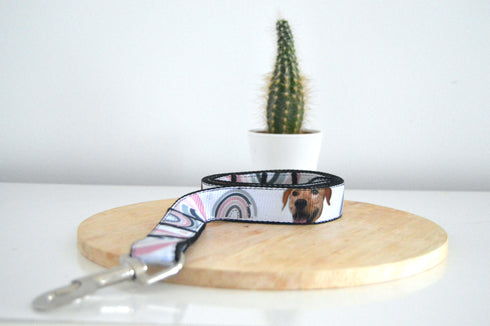 Rainbow Collection | Pet Leash