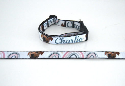 Rainbow Collection | Pet Collar