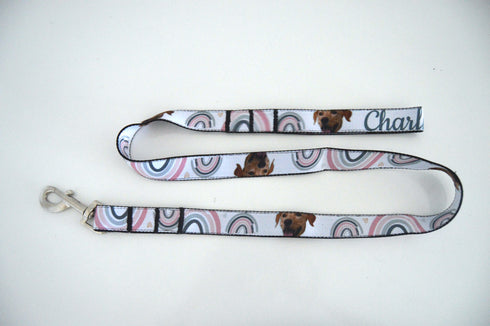 Rainbow Collection | Pet Leash