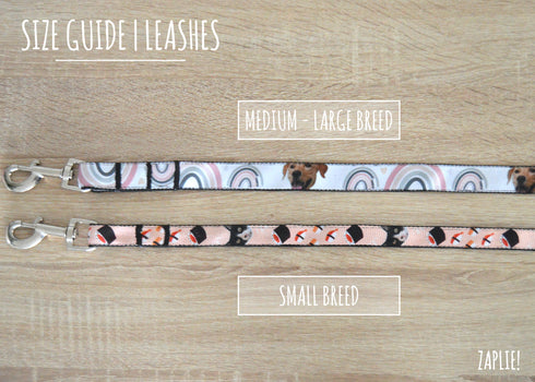 Rainbow Collection | Pet Leash