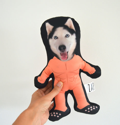 Fun Pillows | Custom Photo Pillow