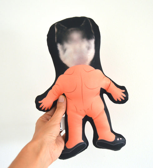 Fun Pillows | Custom Photo Pillow