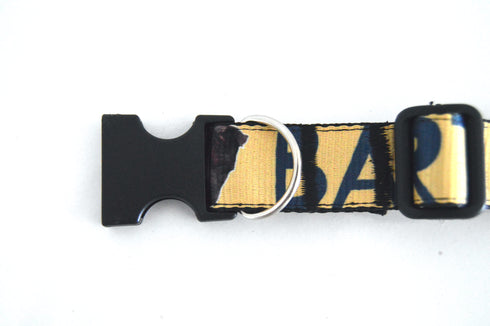 Name Collection | Pet Collar