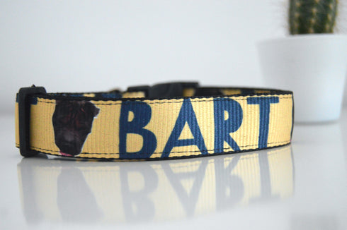 Name Collection | Pet Collar