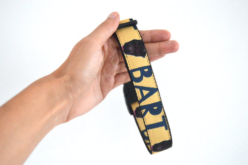 Name Collection | Pet Collar