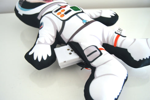Astronaut Pillows | Custom Photo Pillow