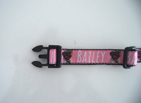 Portrait Collection + FREE Digital Portait | Pet Collar