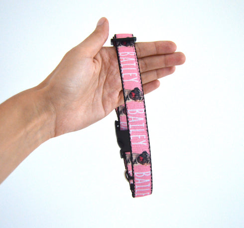 Portrait Collection + FREE Digital Portait | Pet Collar